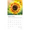 Sunflowers | 2026 12 x 24 Inch (Hanging) Monthly Square Wall Calendar | Foil Stamped Cover